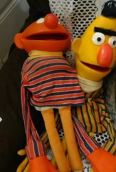 bert ernie puppet view